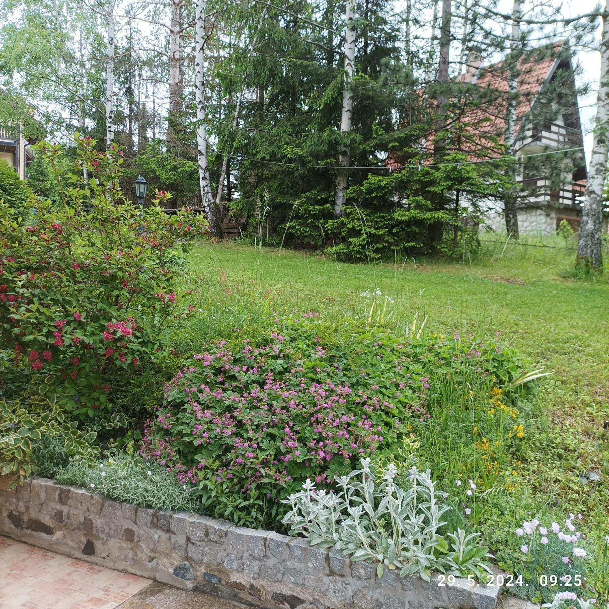 Apartments Dobra Vila Zlatibor Exterior photo